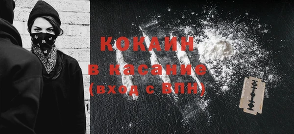 стаф Магас