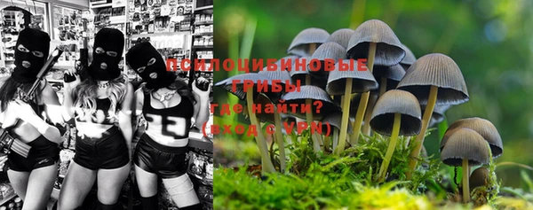 стаф Магас