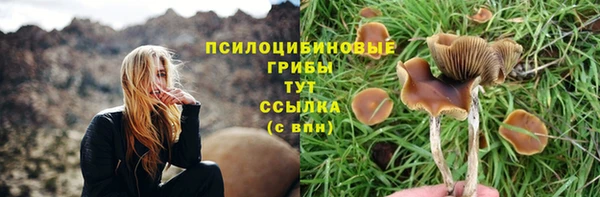 кокс Магадан