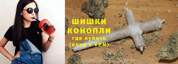 стаф Магас