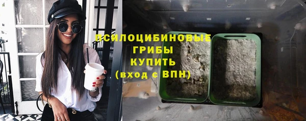 синтетический гашиш Медвежьегорск