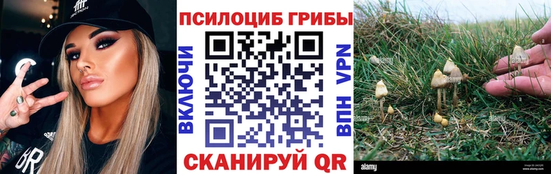 Галлюциногенные грибы ЛСД  Медвежьегорск 